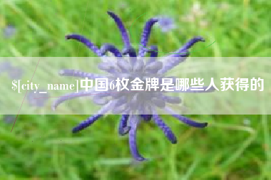 正定中国6枚金牌是哪些人获得的