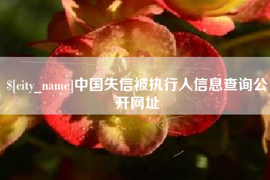 正定中国失信被执行人信息查询公开网址