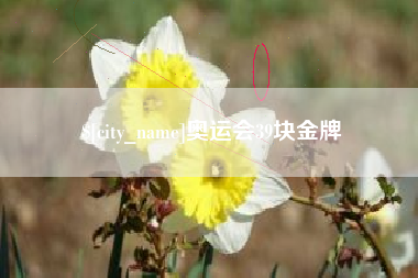 正定奥运会39块金牌