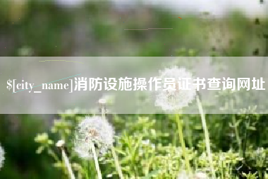 正定消防设施操作员证书查询网址