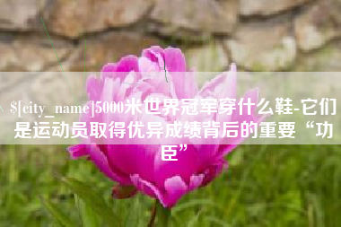 正定5000米世界冠军穿什么鞋-它们是运动员取得优异成绩背后的重要“功臣”