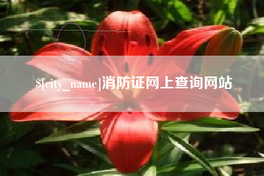 正定消防证网上查询网站