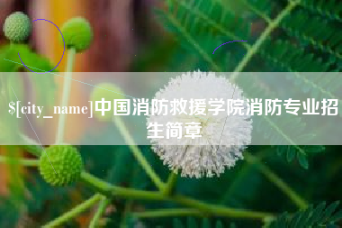 正定中国消防救援学院消防专业招生简章