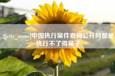 正定中国执行案件查询公开网都是执行不了得案子