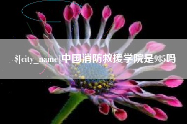 正定中国消防救援学院是985吗