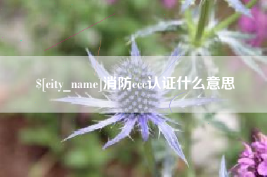 正定消防ccc认证什么意思