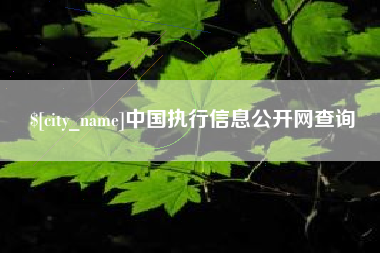 正定中国执行信息公开网查询