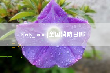 正定全国消防日哪一