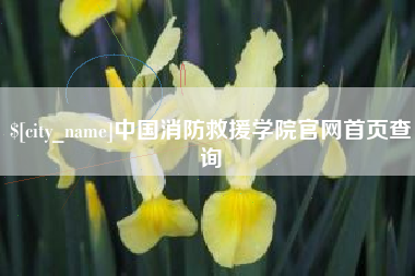 正定中国消防救援学院官网首页查询