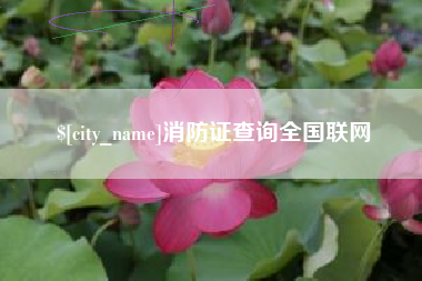 正定消防证查询全国联网