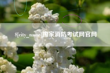 正定国家消防考试网官网