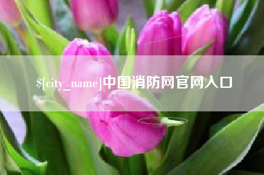 正定中国消防网官网入口