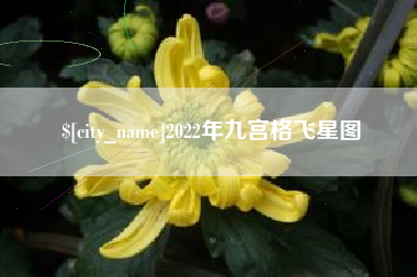正定2022年九宫格飞星图