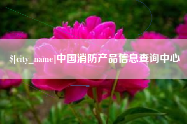 正定中国消防产品信息查询中心