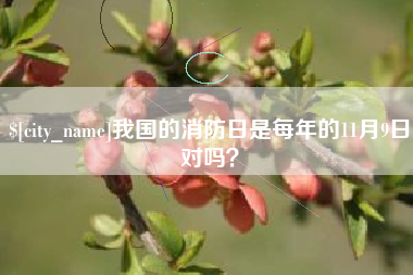 正定我国的消防日是每年的11月9日对吗？