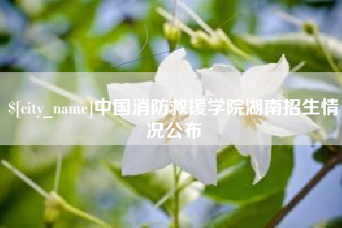 正定中国消防救援学院湖南招生情况公布