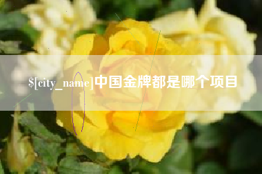 正定中国金牌都是哪个项目