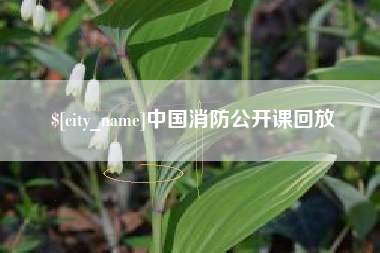正定中国消防公开课回放