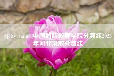 正定中国消防救援学院分数线2023年河北录取分数线