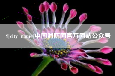 正定中国消防网官方网站公众号