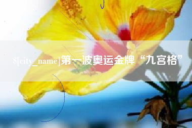 正定第一波奥运金牌“九宫格”