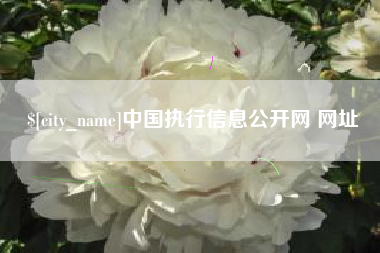 正定中国执行信息公开网 网址