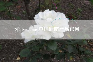 正定中国消防产品官网