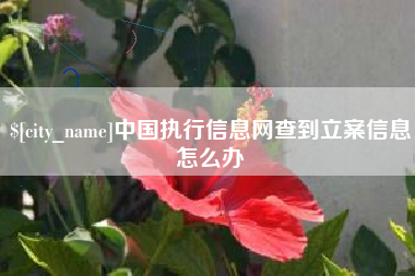 正定中国执行信息网查到立案信息怎么办