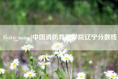 正定中国消防救援学院辽宁分数线