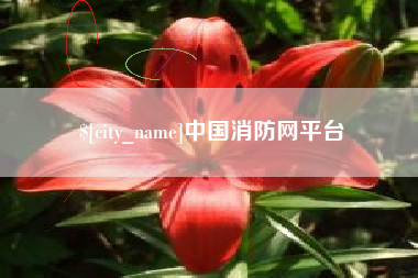 正定中国消防网平台