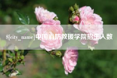正定中国消防救援学院招生人数