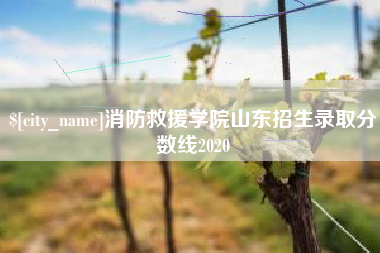 正定消防救援学院山东招生录取分数线2020