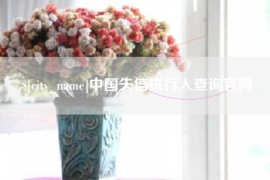 正定中国失信执行人查询官网