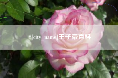 正定王子豪百科