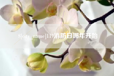 正定119消防日哪年开始
