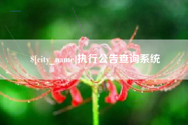 正定执行公告查询系统