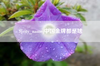 正定中国金牌都是啥