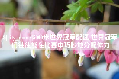 正定5000米世界冠军配速-世界冠军们往往能在比赛中巧妙地分配体力
