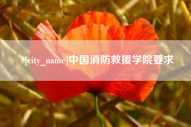 正定中国消防救援学院要求