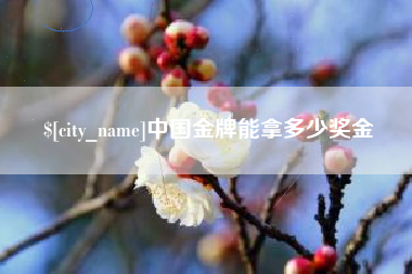 正定中国金牌能拿多少奖金