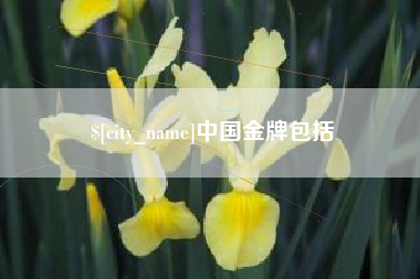 正定中国金牌包括