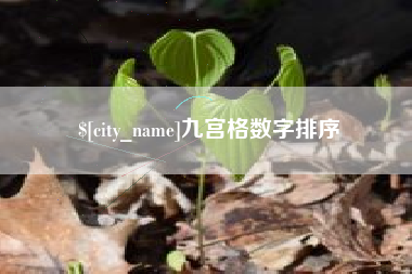 正定九宫格数字排序