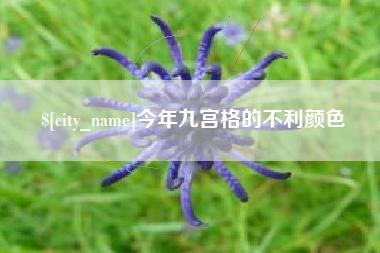 正定今年九宫格的不利颜色