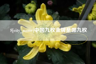 正定中国九枚金牌是哪九枚