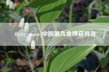 正定中国第九金牌获得者