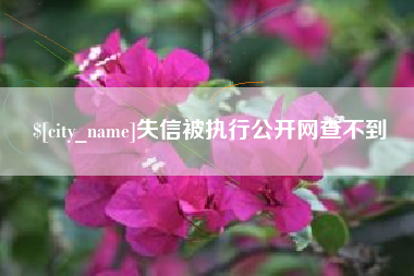 正定失信被执行公开网查不到