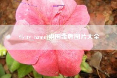 正定中国金牌图片大全