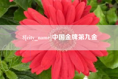 正定中国金牌第九金