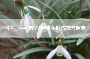 正定男子5000米年龄成绩对照表