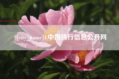正定1.中国执行信息公开网